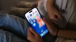 青少年社交媒体禁令：这是治本之策吗？